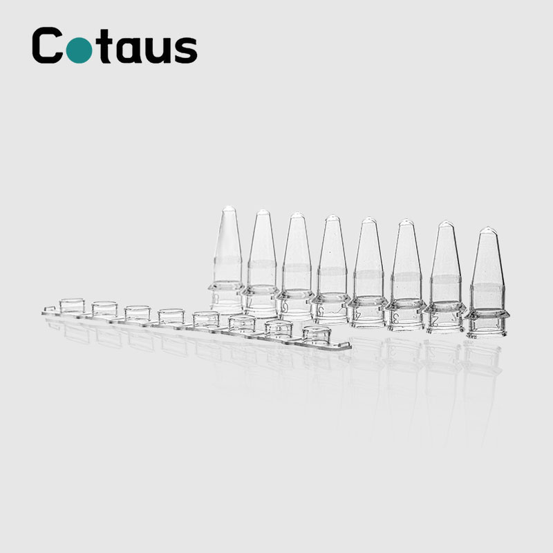 0.2ml Madaidaicin PCR 8-Tsauri Tubus