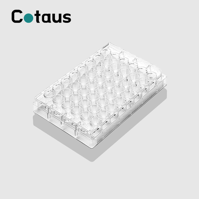 48 To Cell Culture Plate